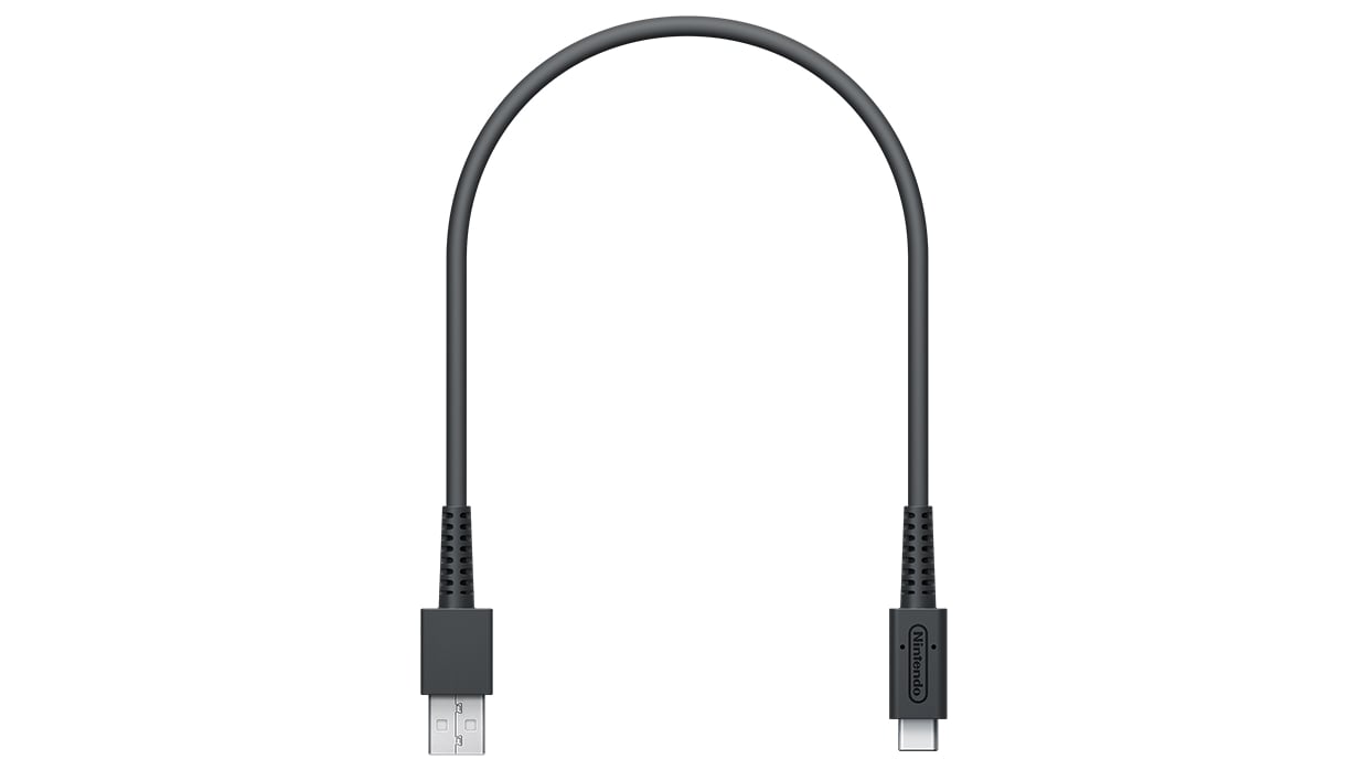 Nintendo USB Charging Cable 1