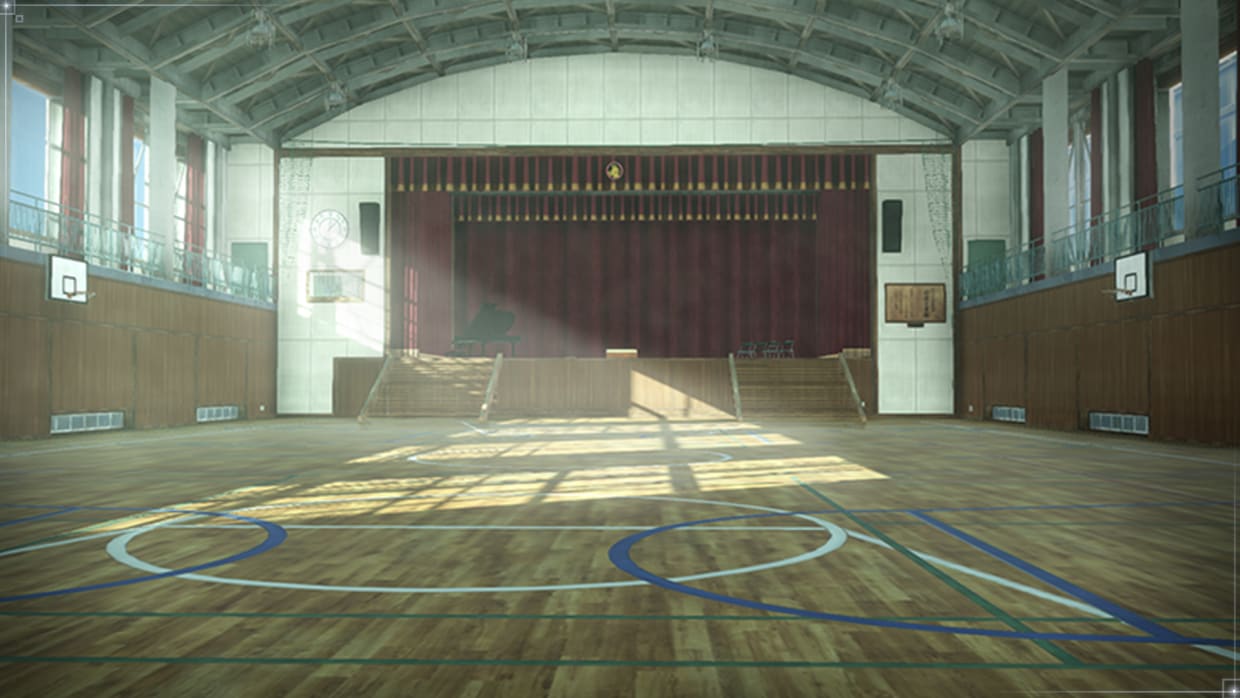 School Gymnasium 1
