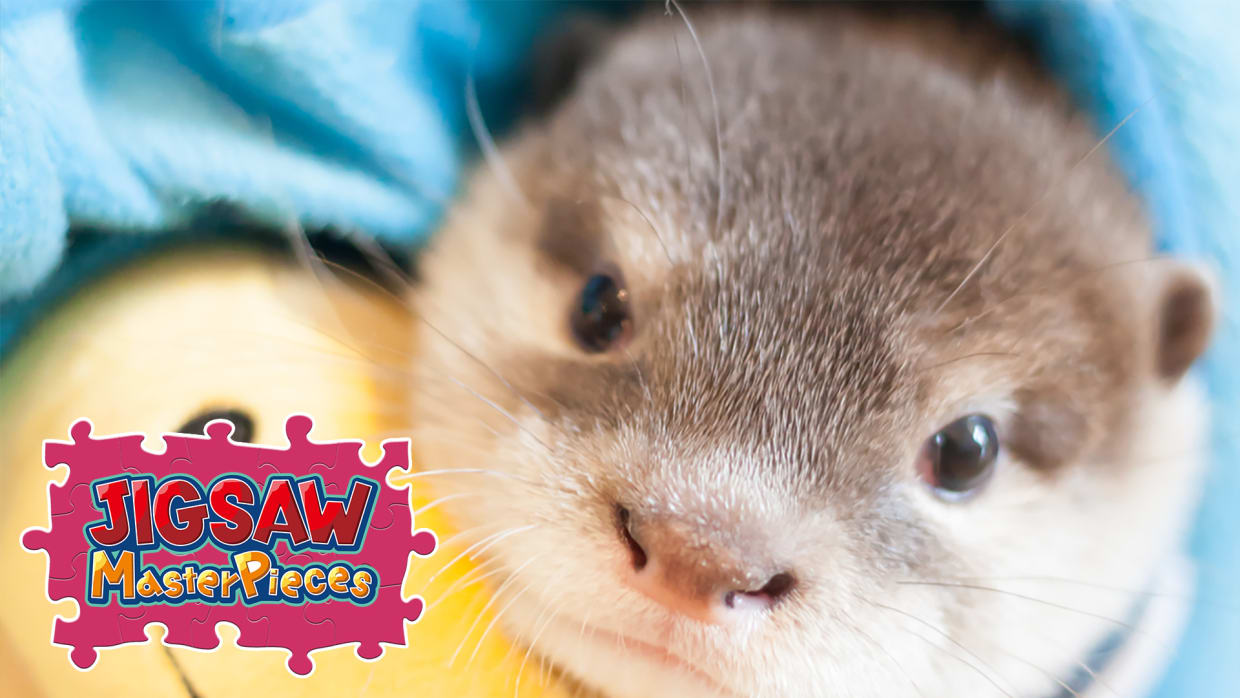 Little otter　Takechiyo＆Aoi 1