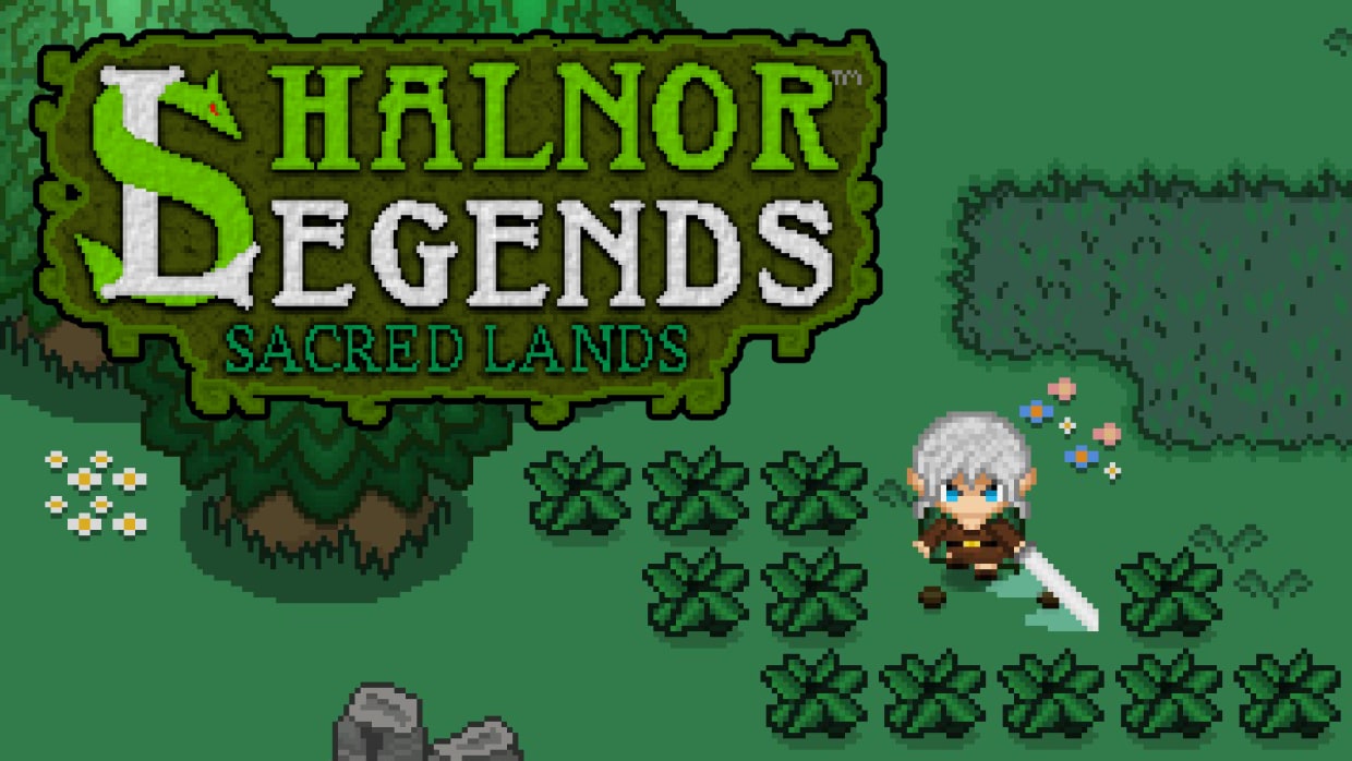 Shalnor Legends: Sacred Lands 1