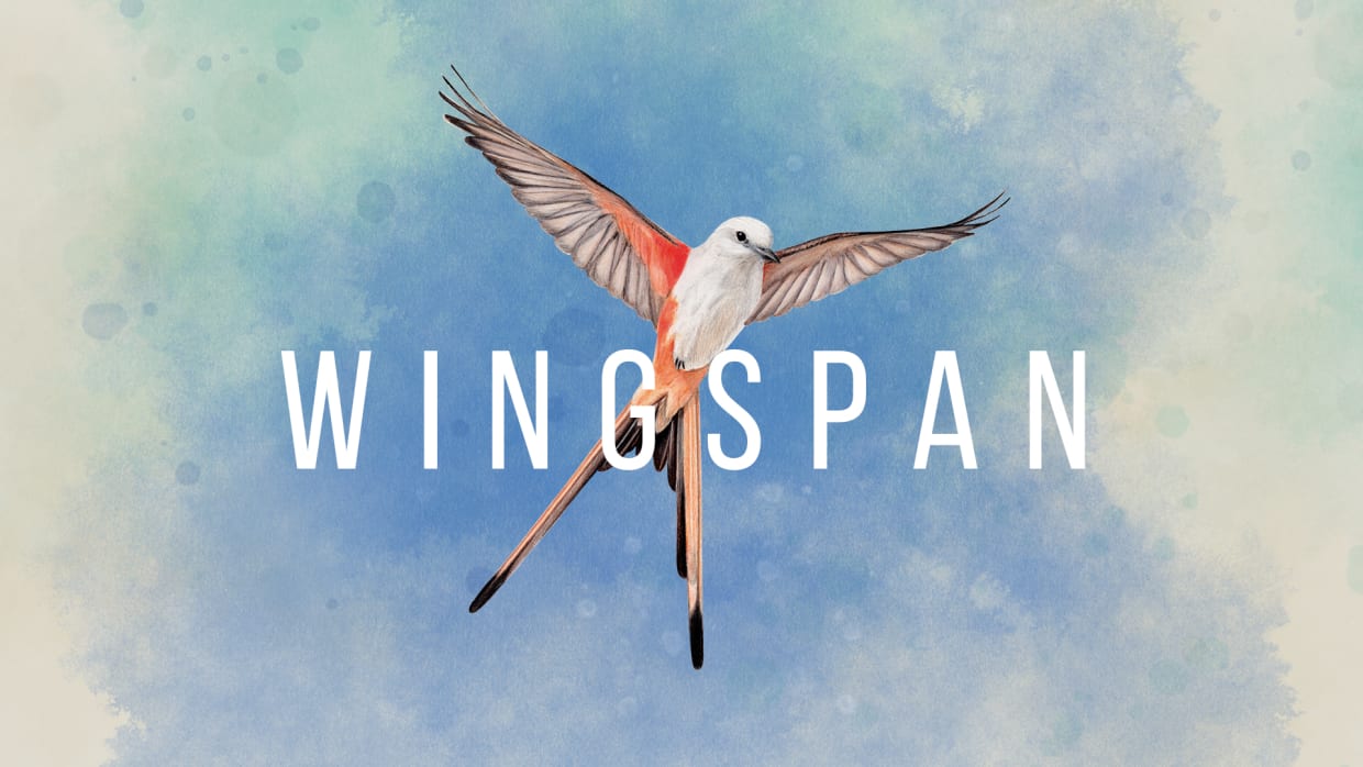 Wingspan Board Game