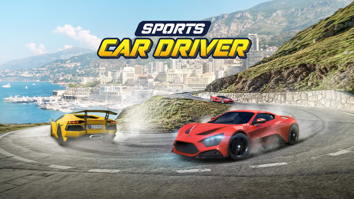 Sports Car Driver 1