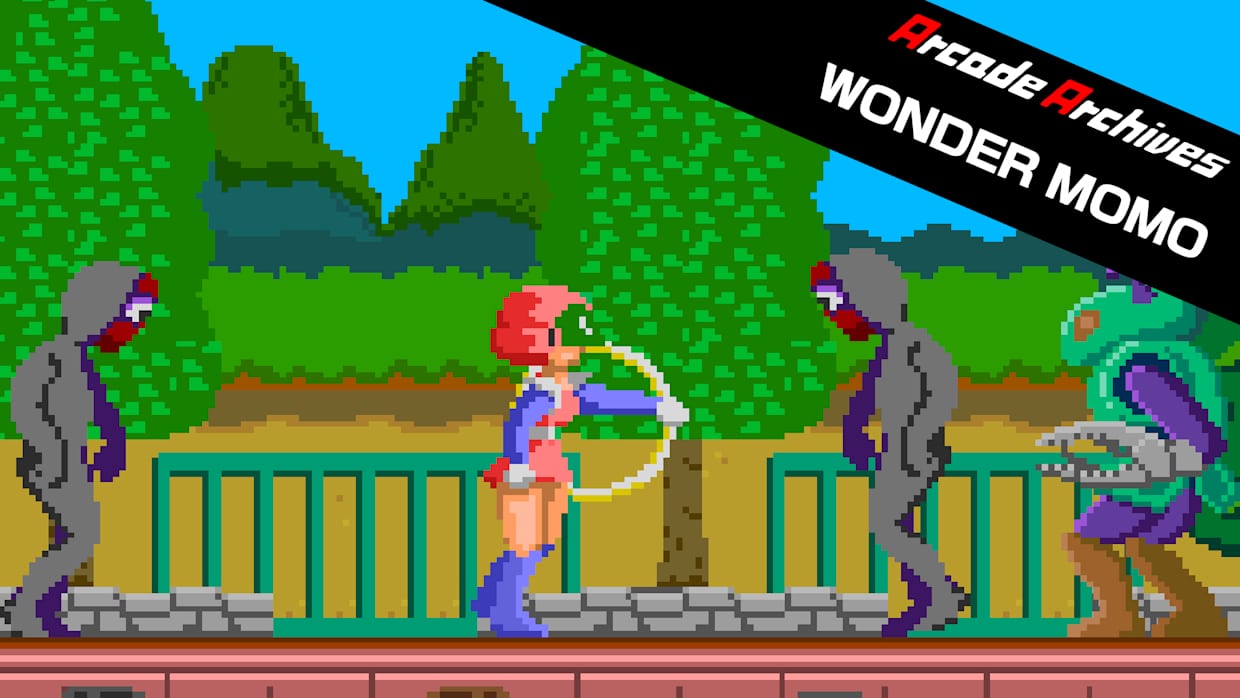Arcade Archives WONDER MOMO 1