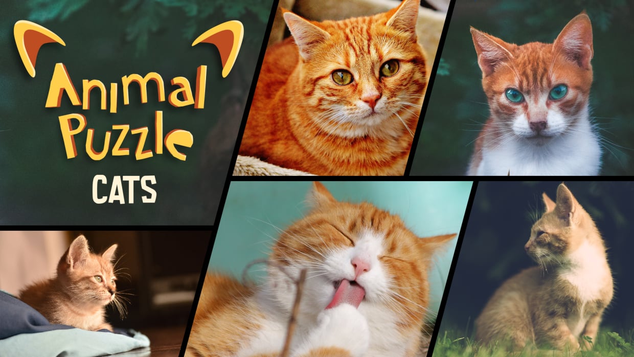Animal Puzzle Cats 1