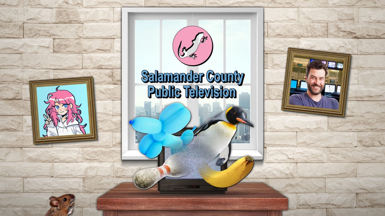 Salamander County Public Television 1