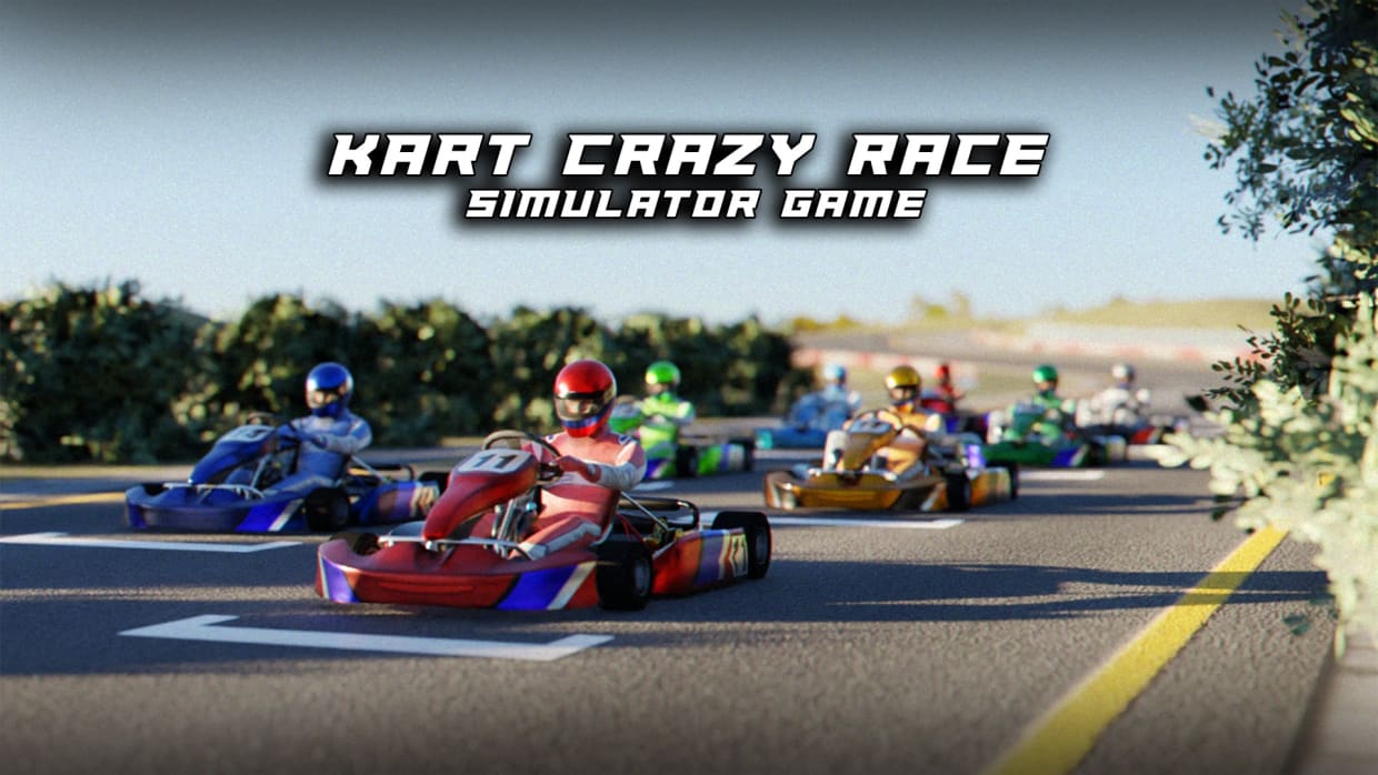 Kart Crazy Race Simulator Game 1