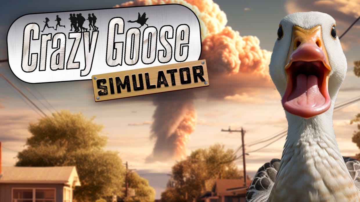 
Crazy Goose Simulator 1