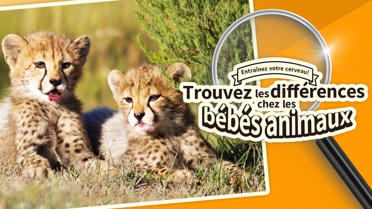 Entraînez votre cerveau! Trouvez les différences chez les bébés animaux 1