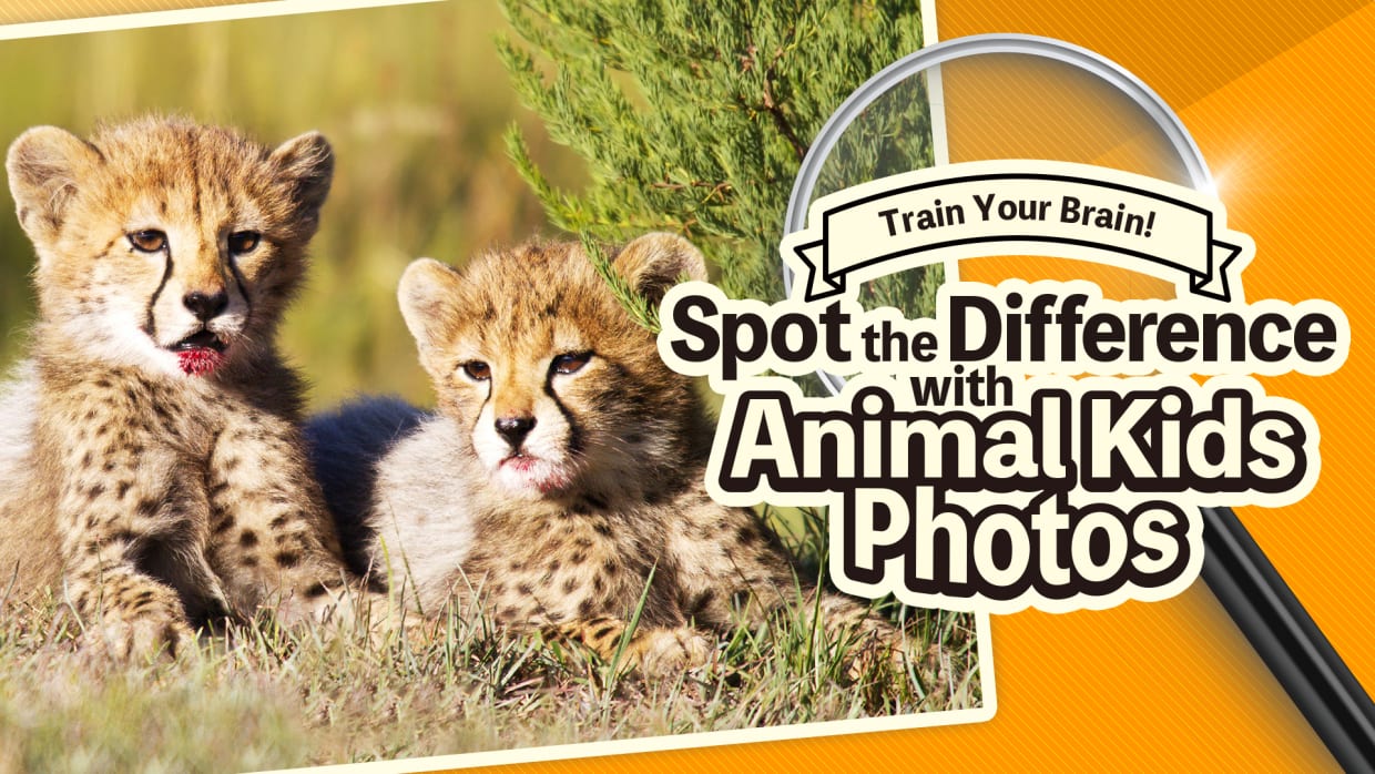 Train Your Brain! Spot the Difference with Animal Kids Photos 1