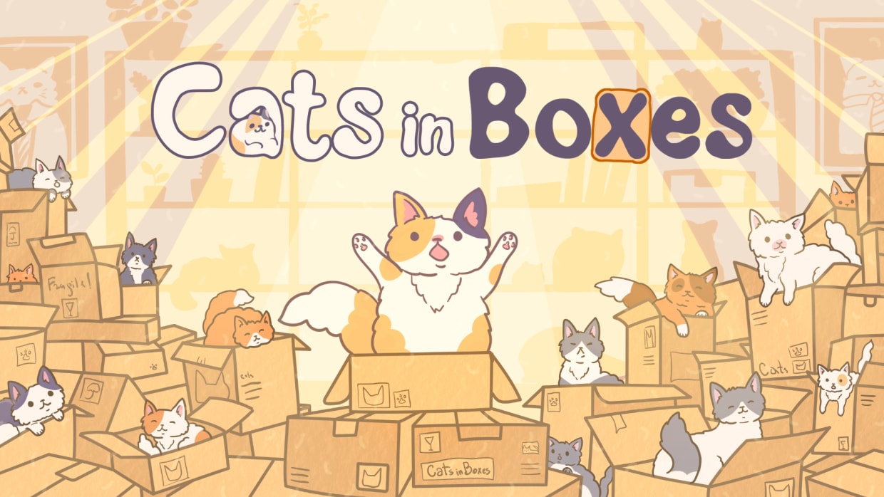 Cats in Boxes 1