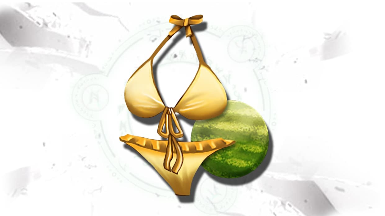 Bikini Costume 1