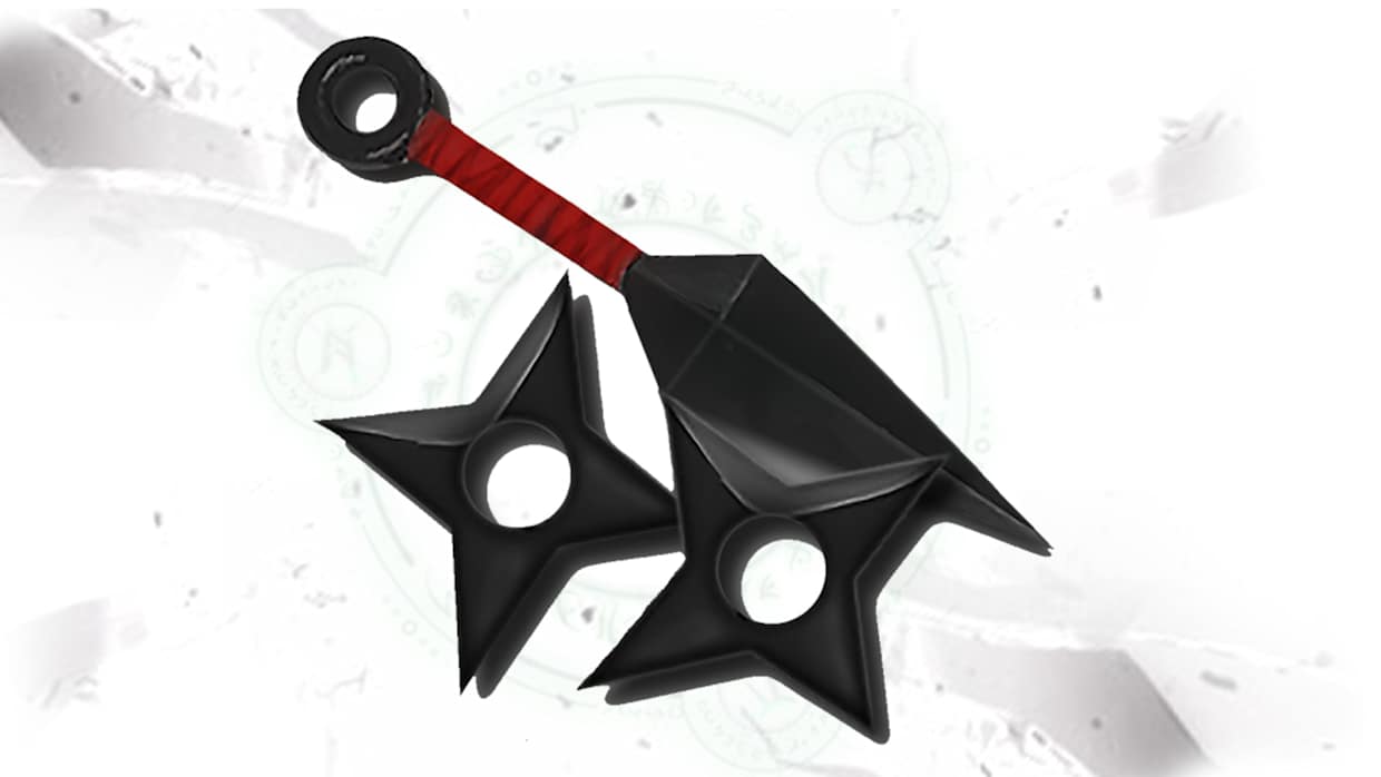 Ninja Costume 1