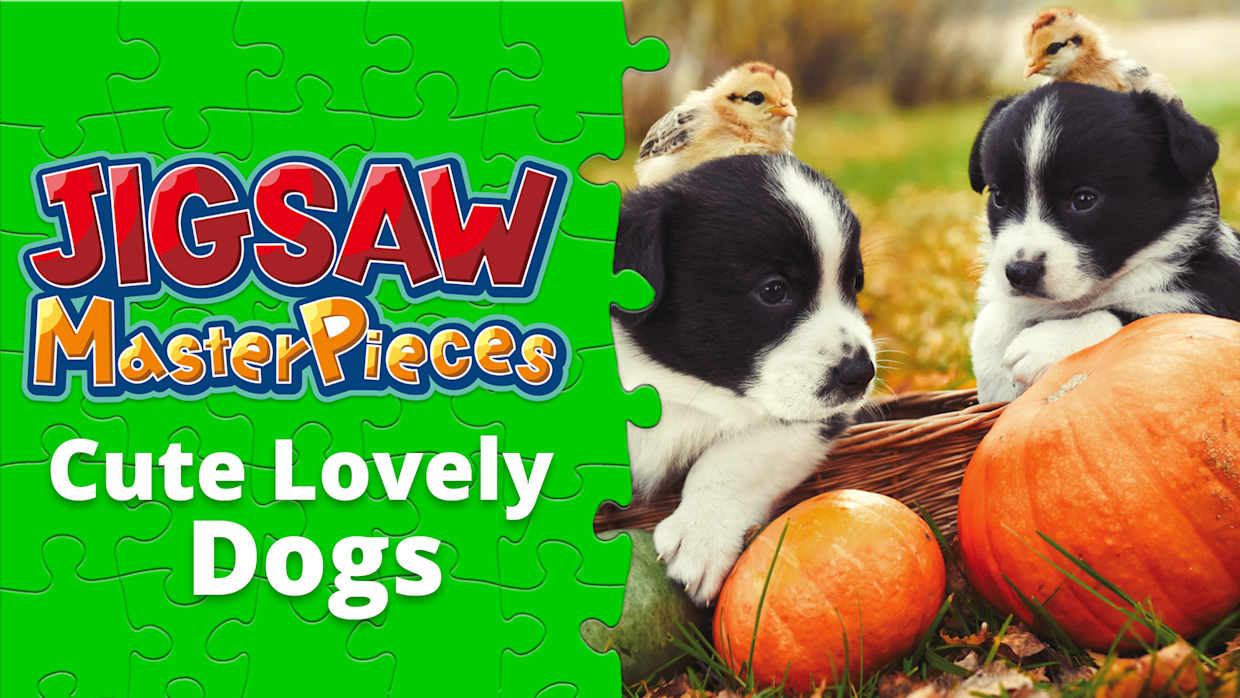 Cute Lovely Dogs 1