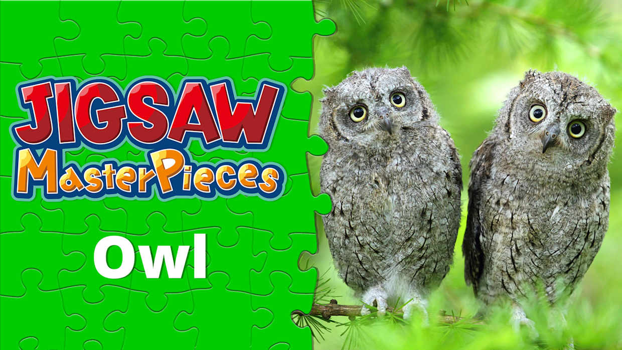 Owl 1