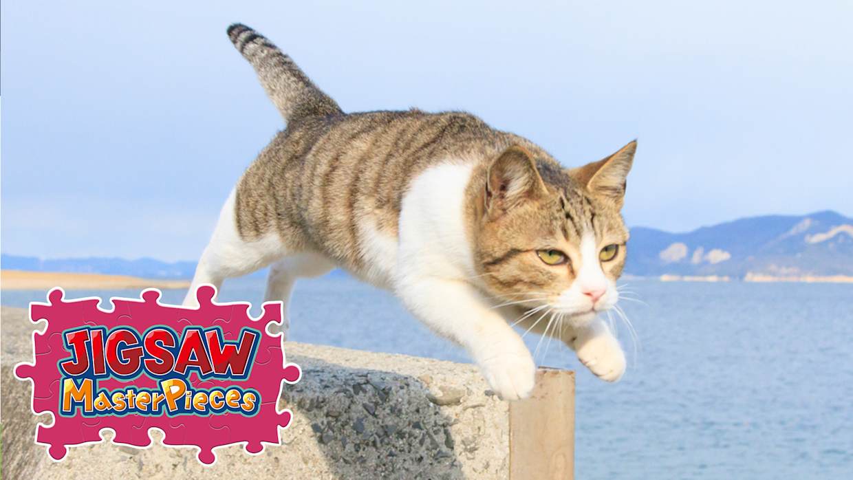 Jumping Cats / Kenta Igarashi 1