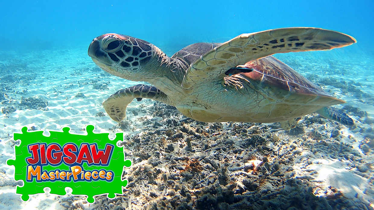Okinawa - Paradise in Japan - 1