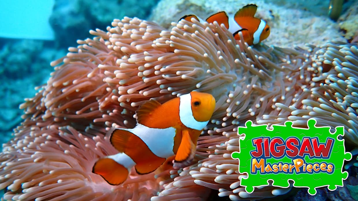 Underwater Photography 1