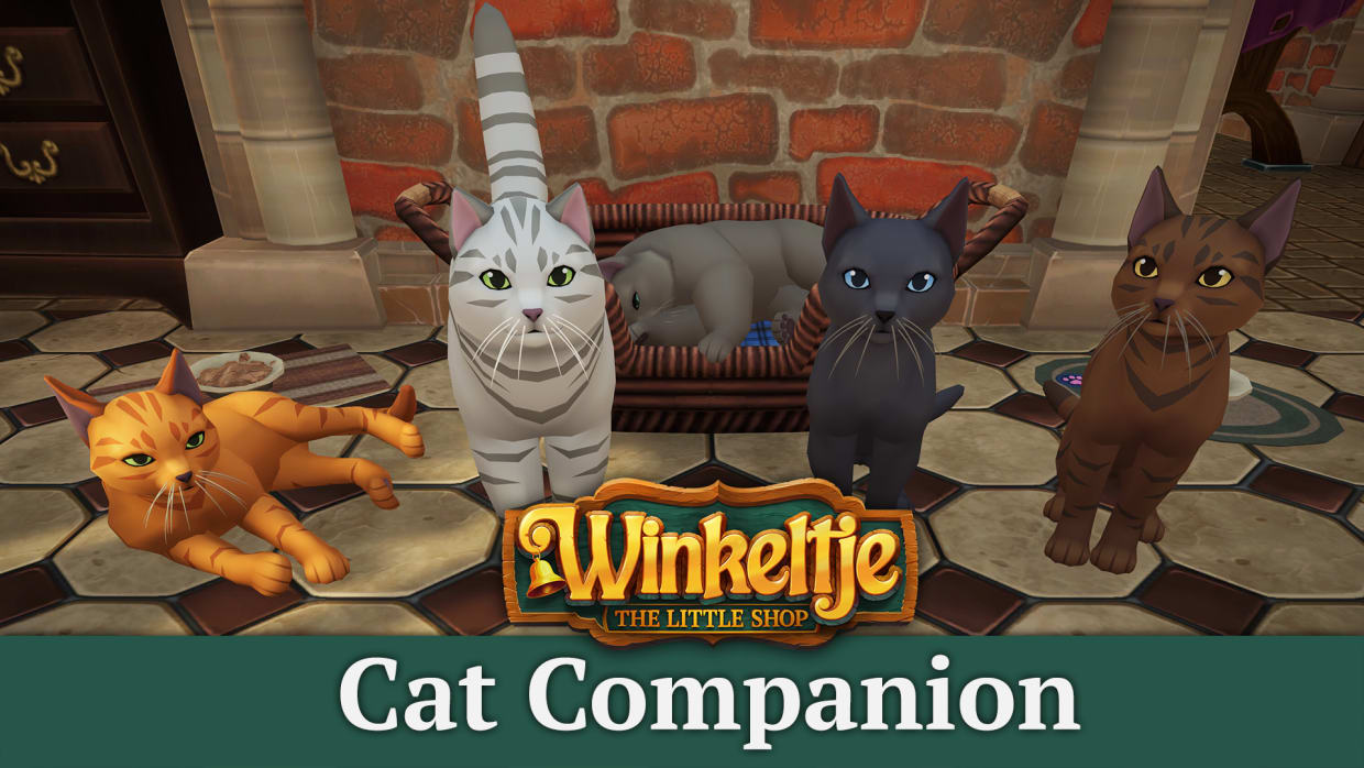 Winkeltje - Cat Companion 1