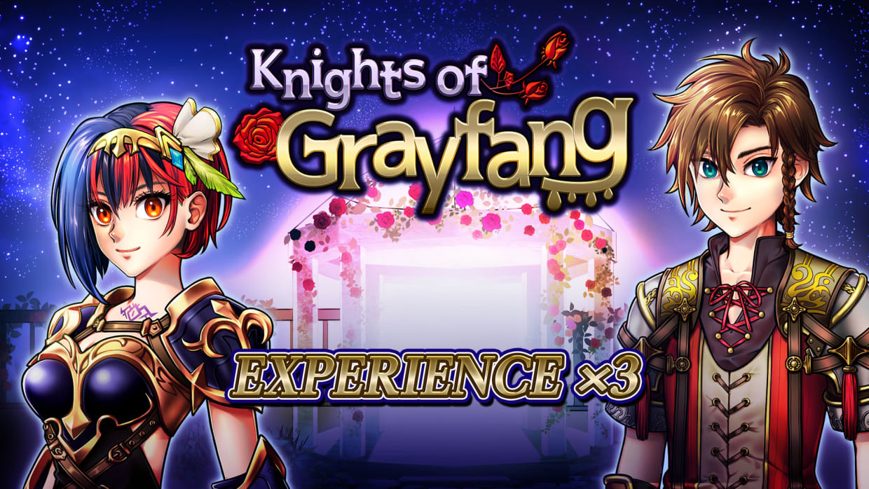 Experience x3 - Knights of Grayfang 1
