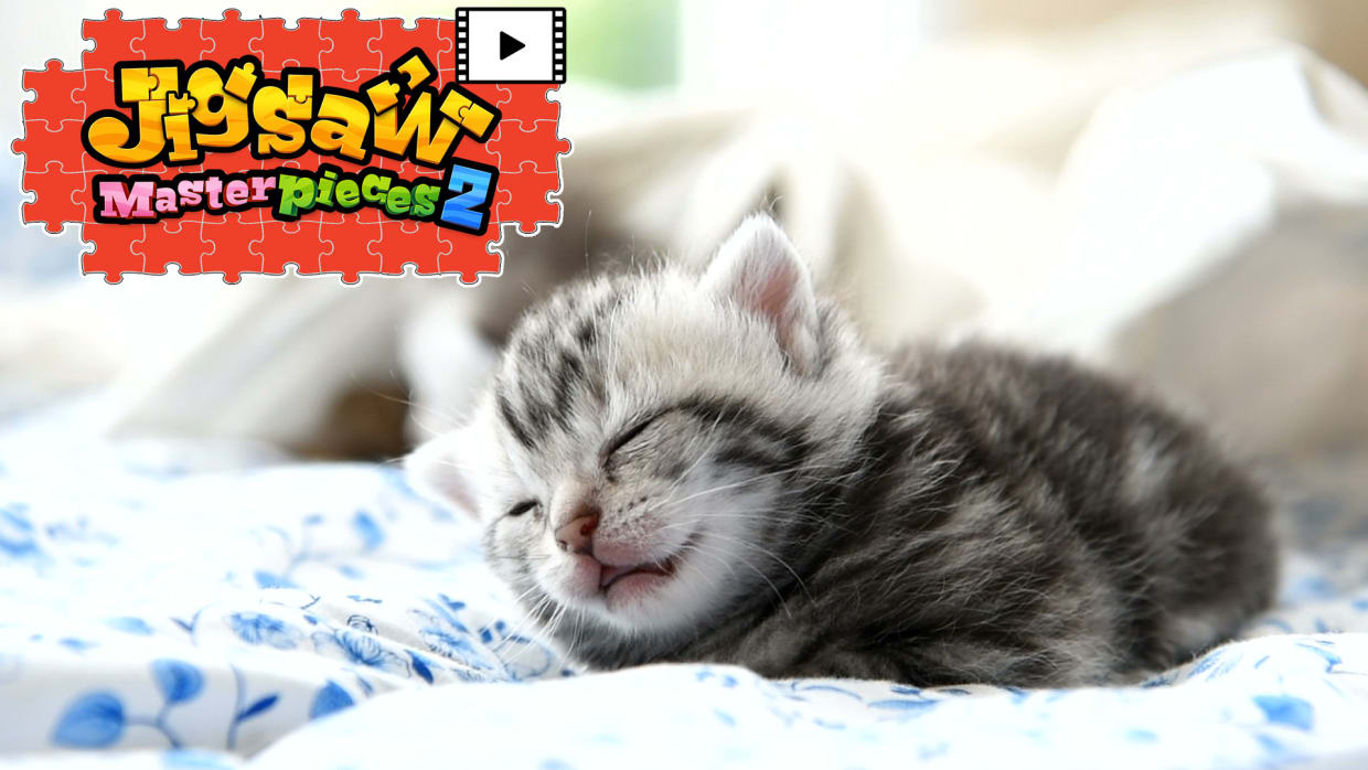 [Moving] Fluffy Kittens 1