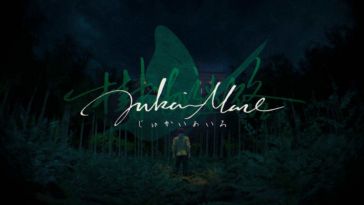 树海迷宫 Jukai Maze|官方中文|NSZ|-NS游戏网