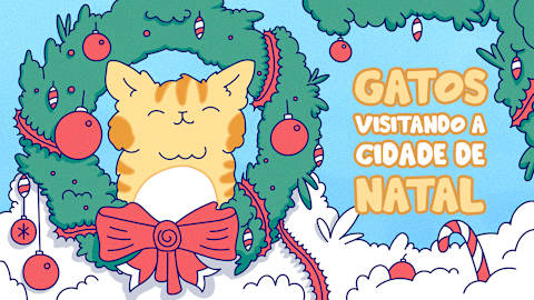 Gatos visitando a cidade de Natal