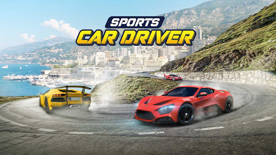 Sports Car Driver