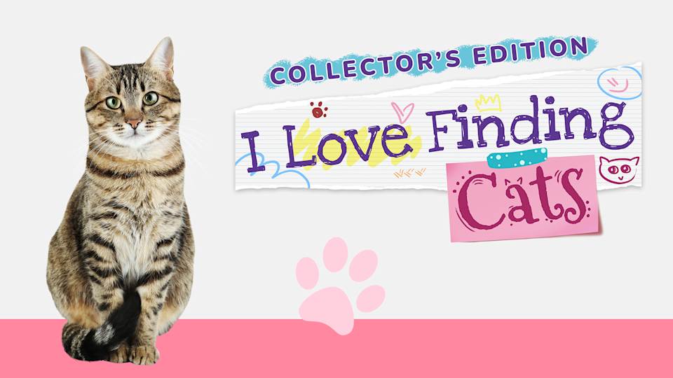 I Love Finding Cats!