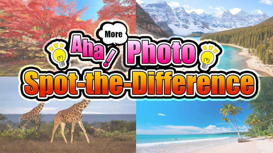 Aha! More Photo Spot-the-Difference