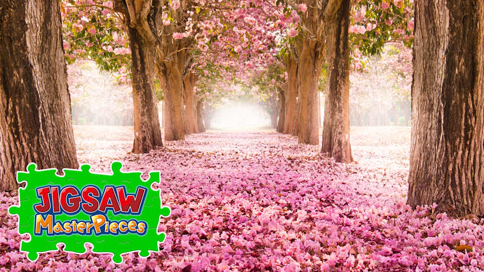 Pink Dreamscape