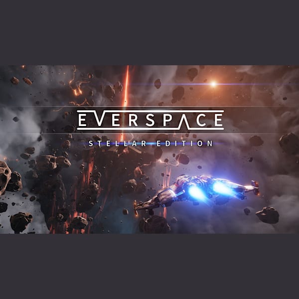 Everspace switch clearance