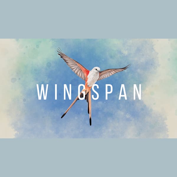 Wingspan switch sale