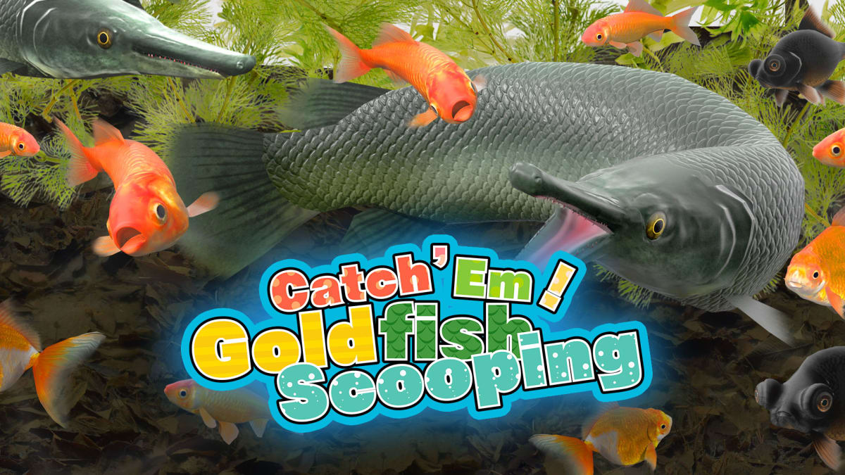 Catch Em Goldfish Scooping For Nintendo Switch Nintendo
