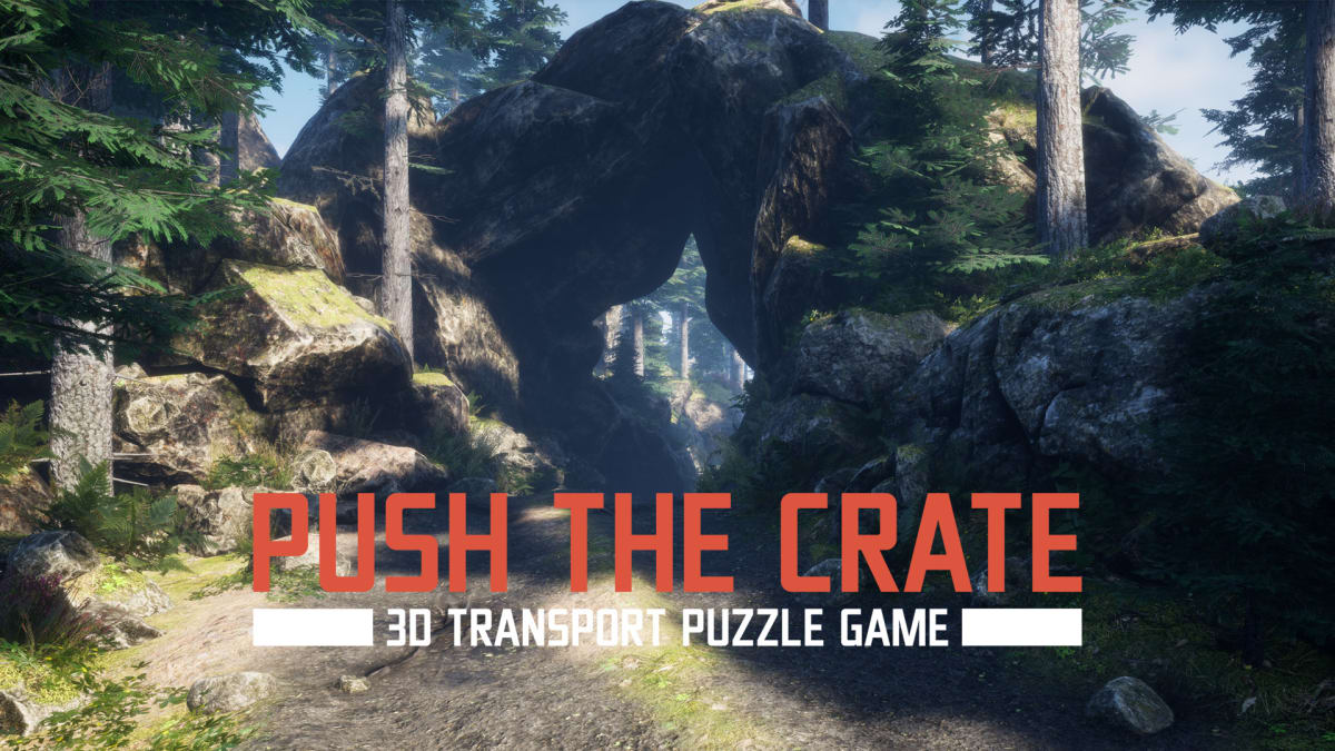 Push The Crate For Nintendo Switch Nintendo