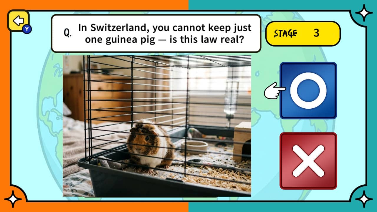 Surprising Laws Around the World True or False Quiz screenshot 3