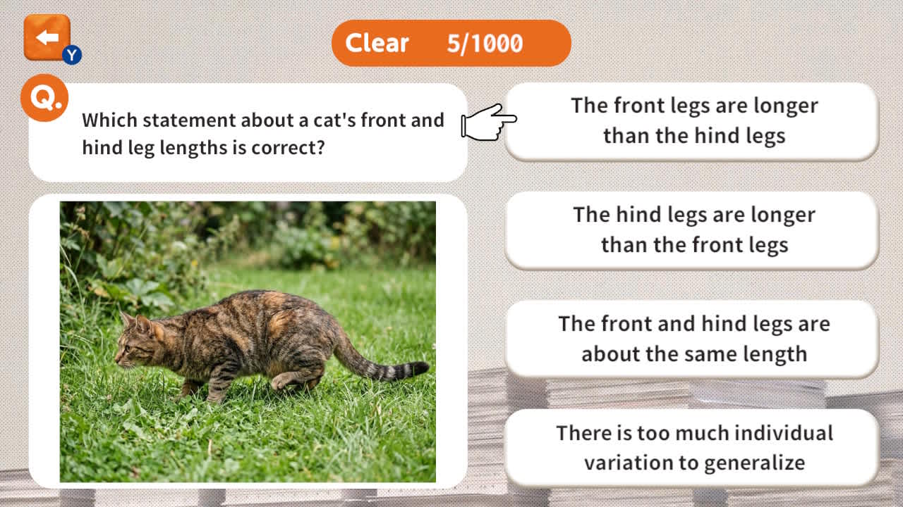 1000 Questions to Be Chosen by the Cat Lord screenshot 4
