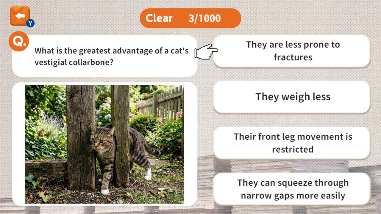 1000 Questions to Be Chosen by the Cat Lord screenshot 3