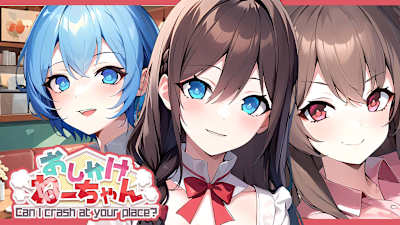 Can I crash at your place? おしかけねーちゃん deal