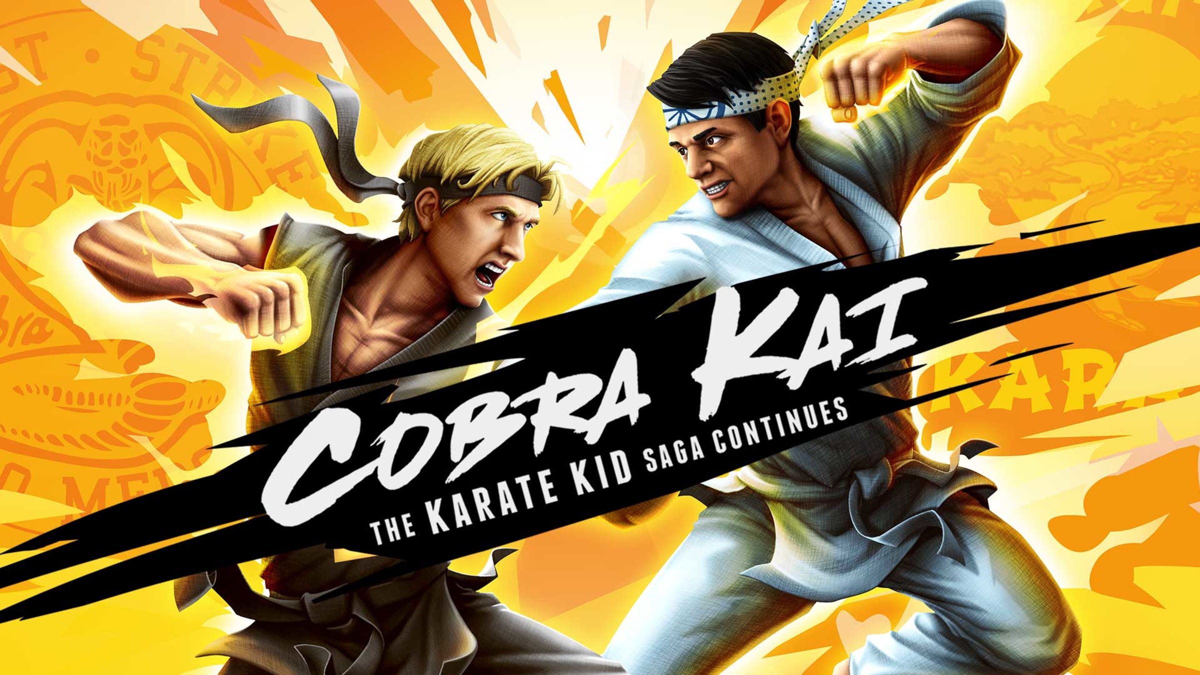  Cobra Kai Karate Kid Saga - Nintendo Switch : Game