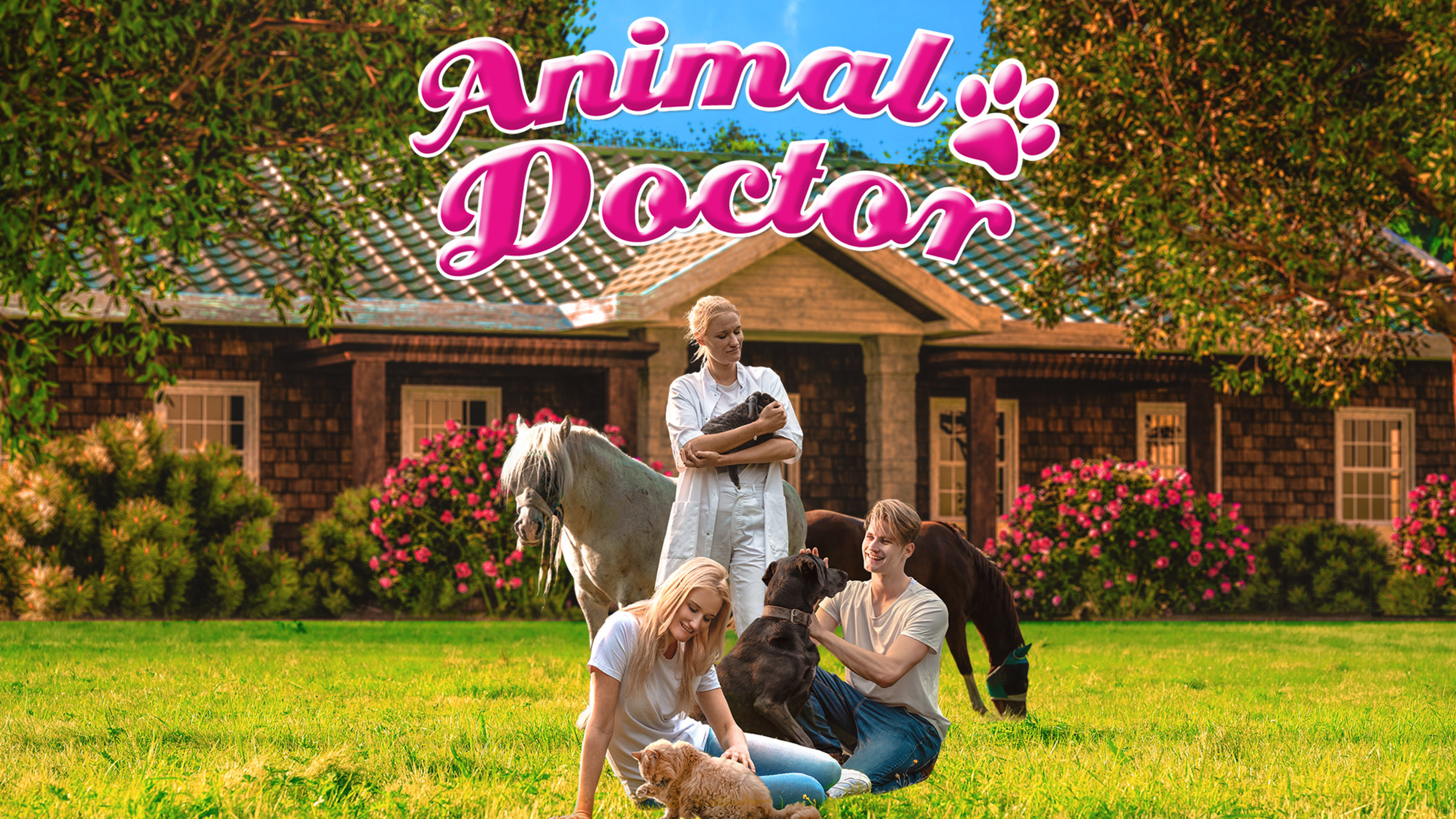 Animal Doctor, Aplicações de download da Nintendo Switch