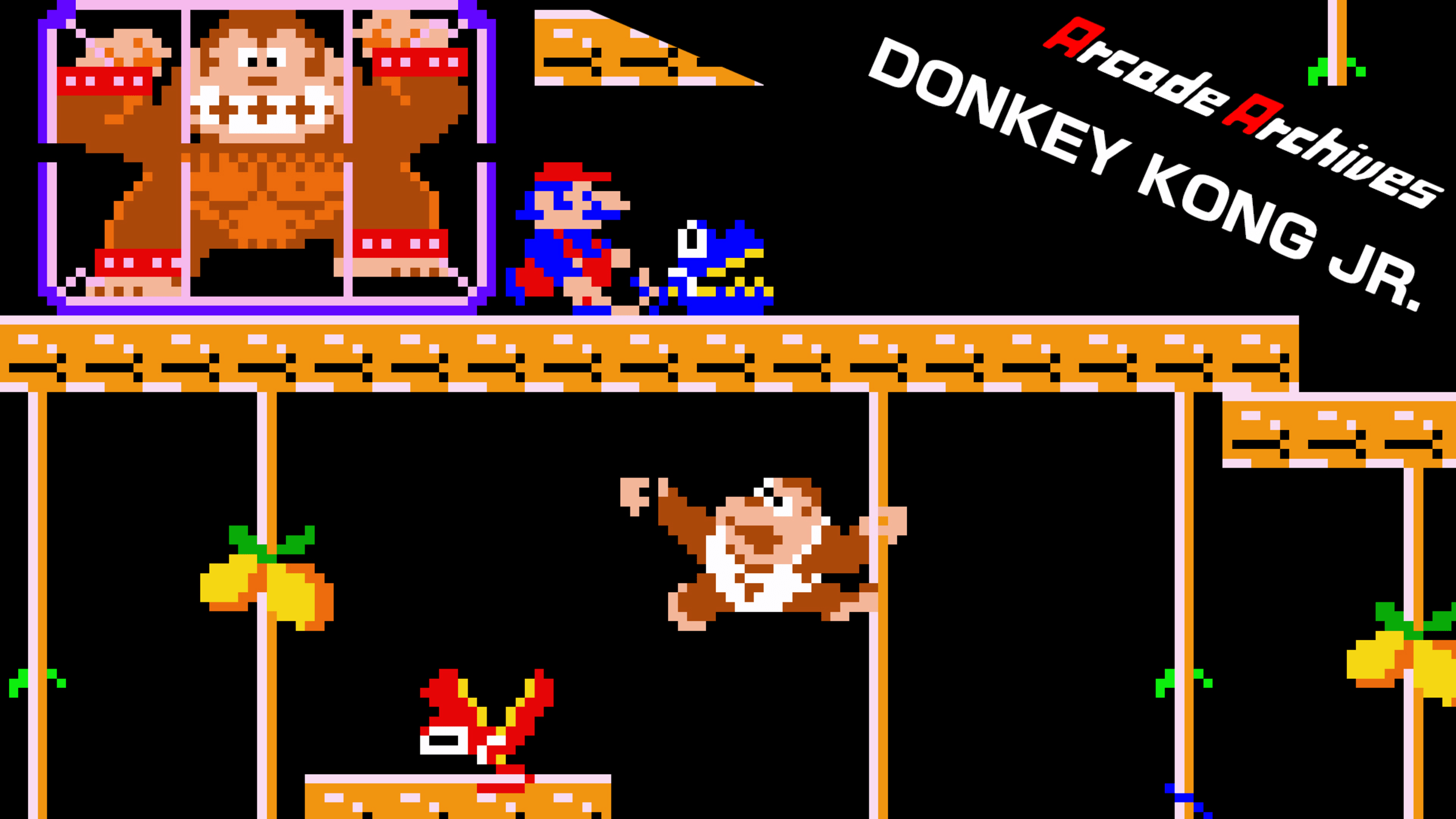Arcade Archives DONKEY KONG JR. for Nintendo Switch - Nintendo