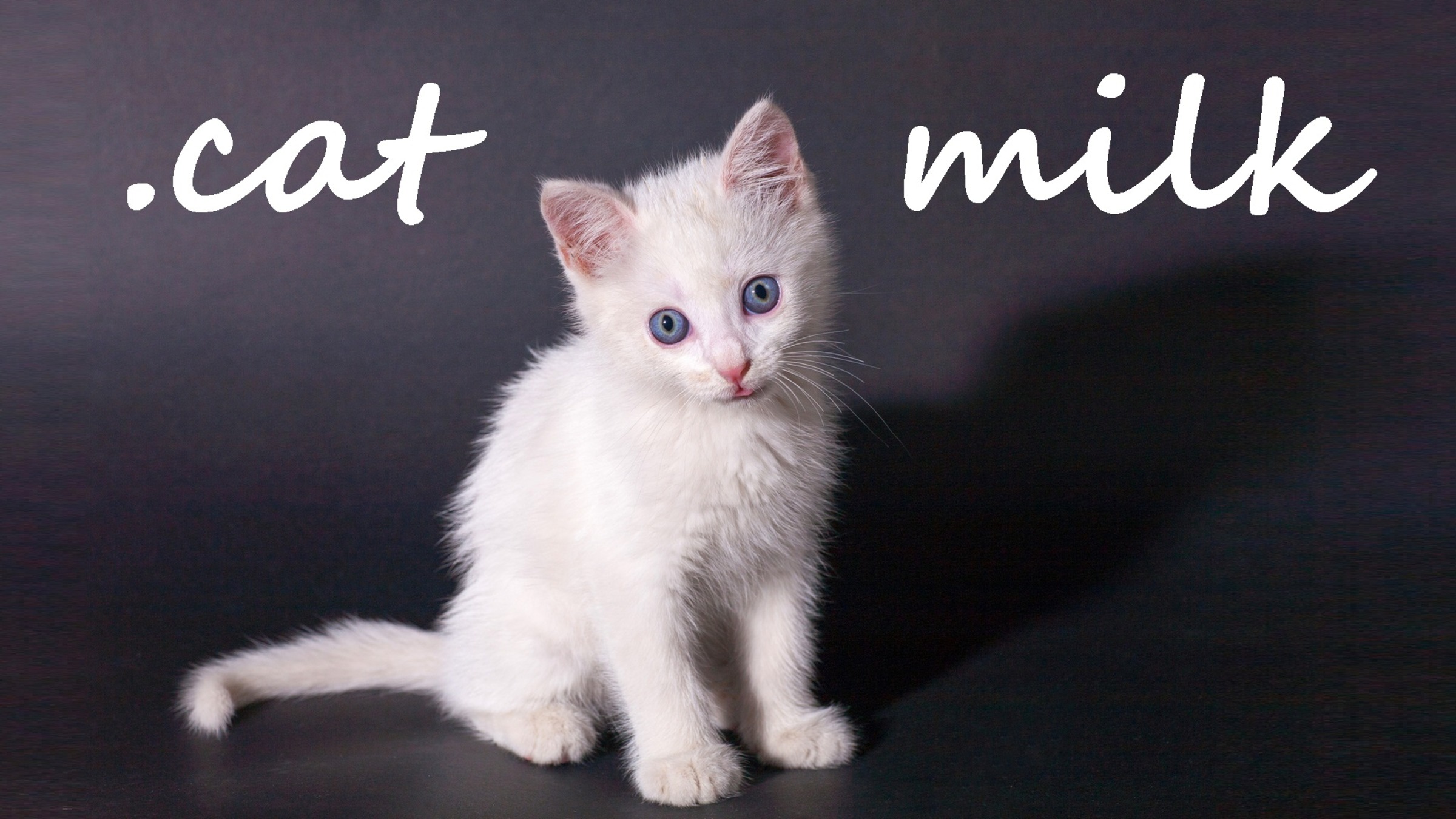 Buy cat milk top