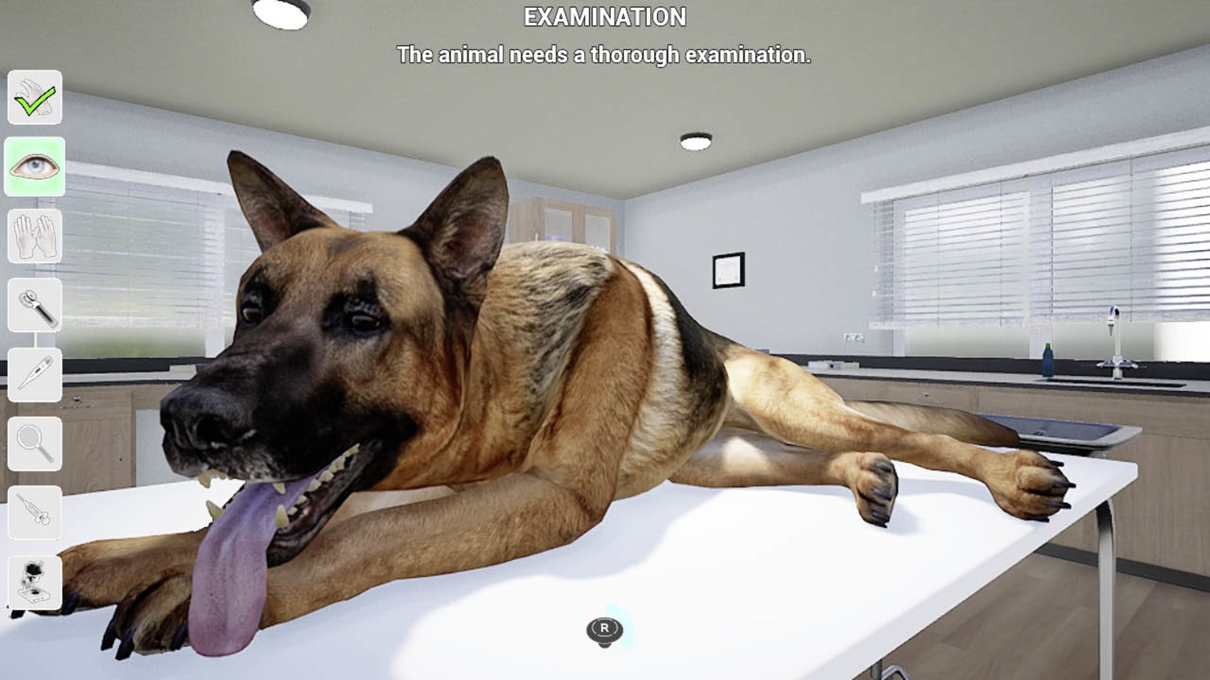 Download My Life Pet Vet Switch NSP