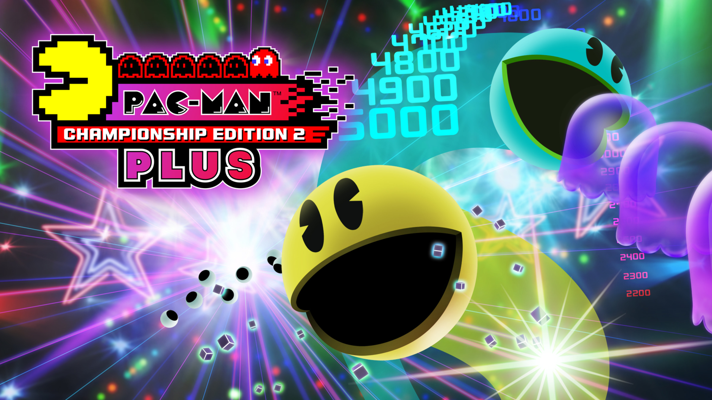 Pac-Man Championship Edition DX+, Software