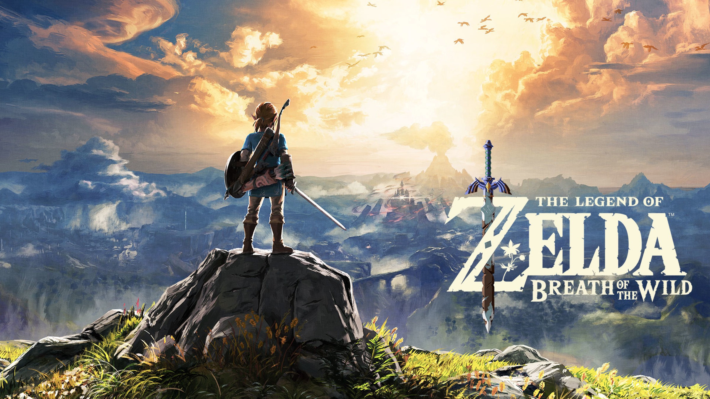 The Legend of Zelda Breath of the Wild (and the expansion pass) is 30