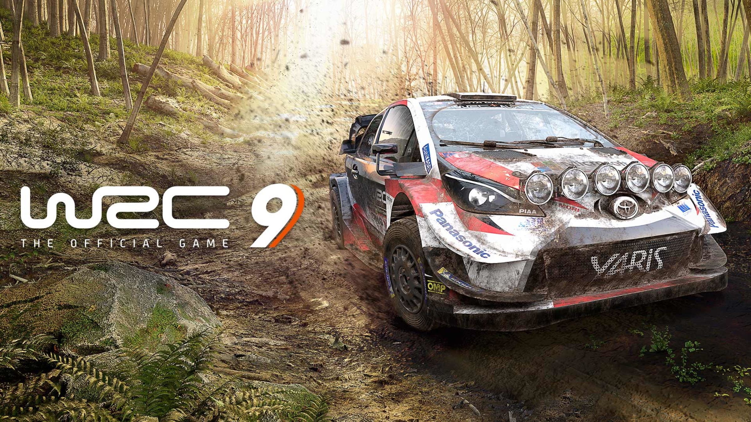 WRC 9 sur Nintendo Switch 