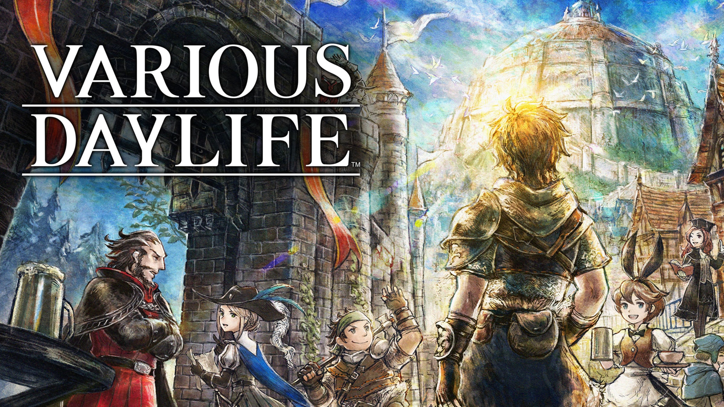 VARIOUS DAYLIFE for Nintendo Switch Nintendo Official Site