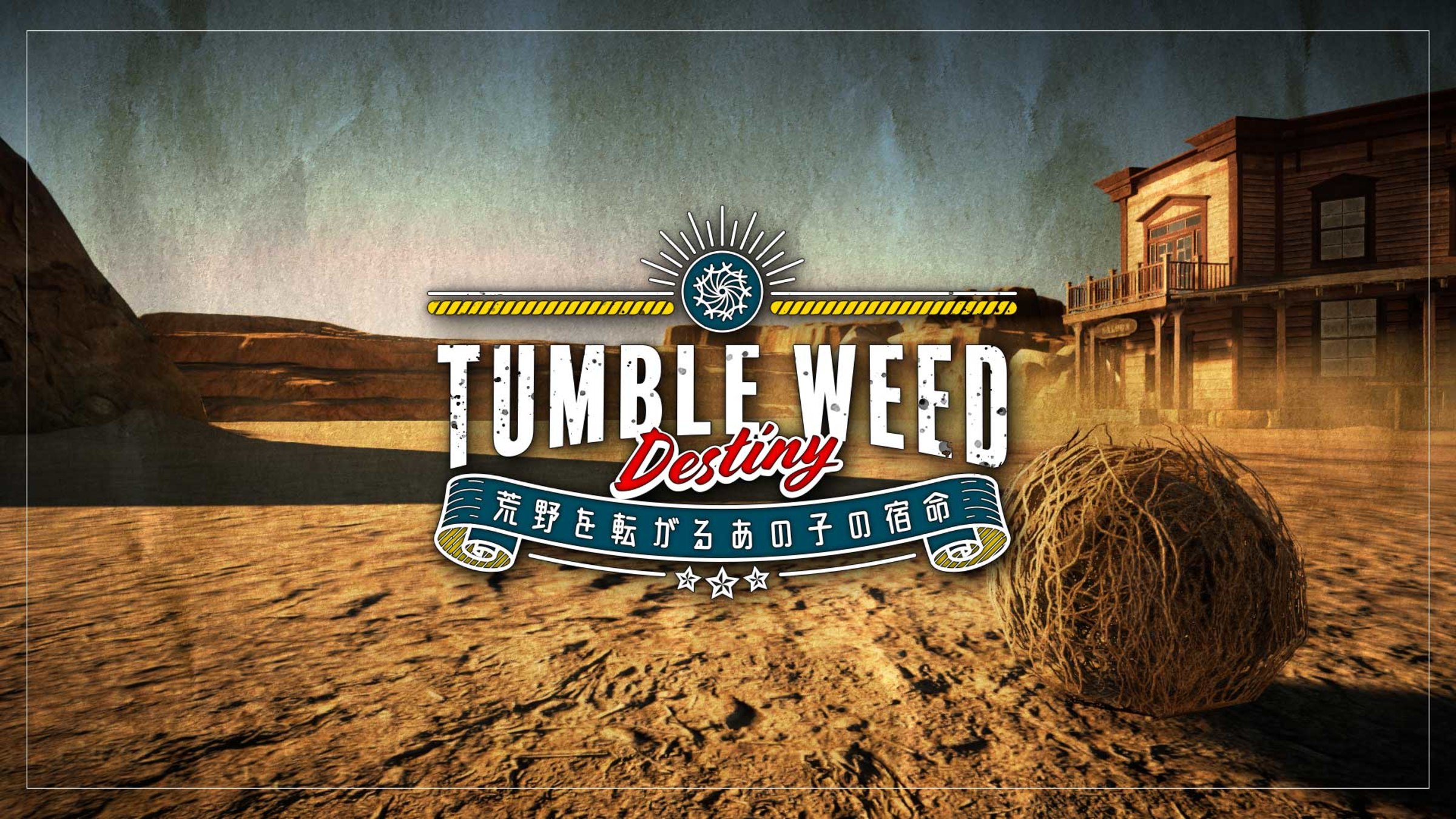What Makes Tumbleweeds Tumble?