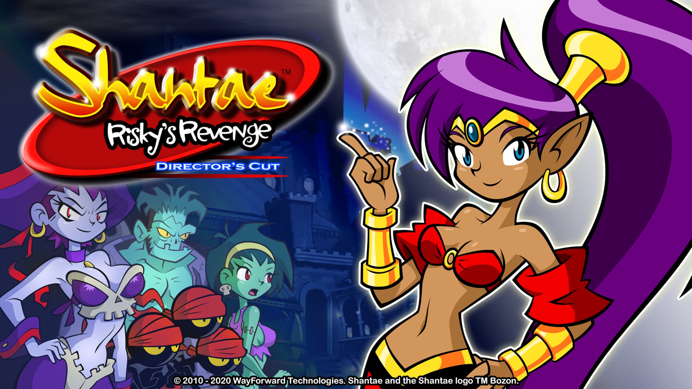 Shantae: Risky's Revenge - Director's Cut for Nintendo