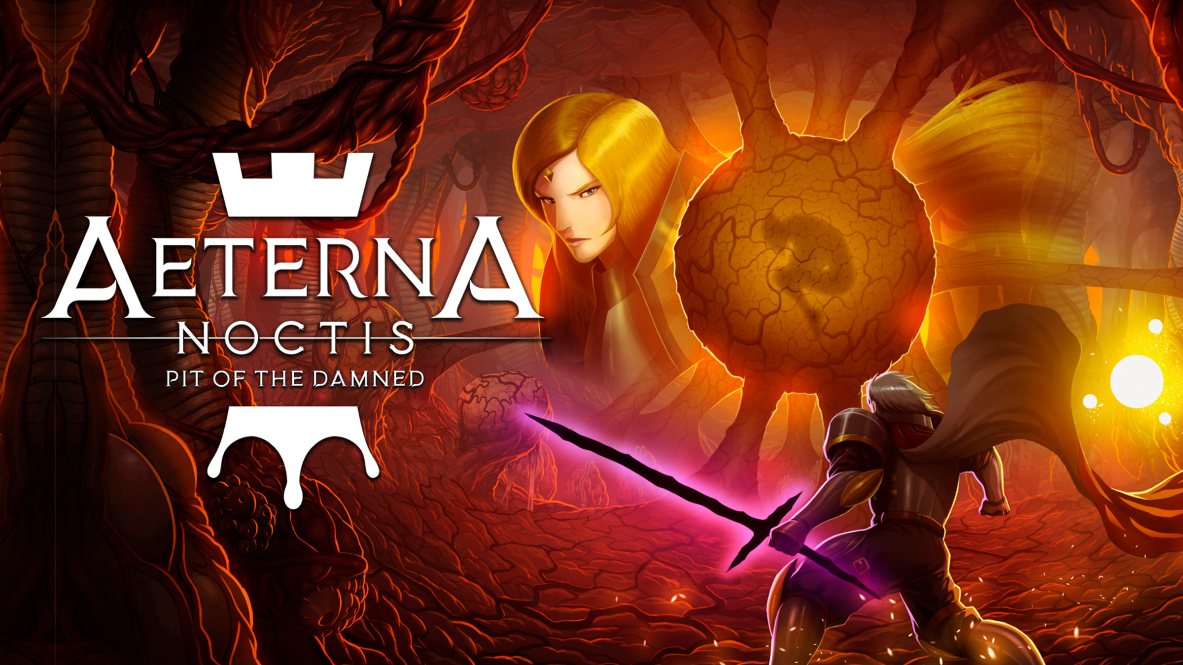 switch Aeterna 新品未開封 Noctis エテルナ・ノクティス